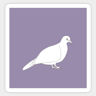 Purple Wood Pigeon Sticker